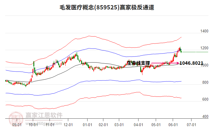 859525毛發(fā)醫(yī)療贏家極反通道工具