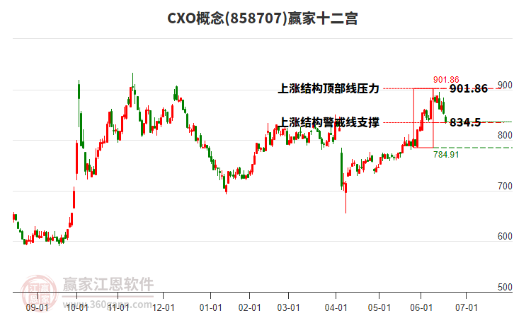 858707CXO贏家十二宮工具
