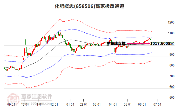 858596化肥贏家極反通道工具