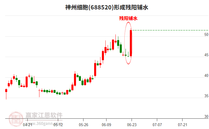 神州細(xì)胞形成殘陽鋪水形態(tài)