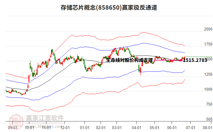 858650存儲(chǔ)芯片贏家極反通道工具