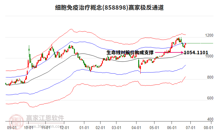 858898細(xì)胞免疫治療贏家極反通道工具