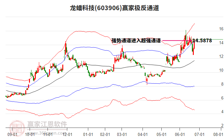 603906龍蟠科技贏家極反通道工具
