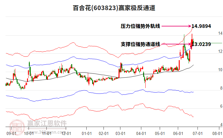 603823百合花贏家極反通道工具 603823百合花贏家極反通道工具