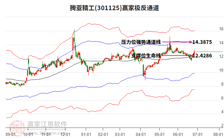 301125騰亞精工贏家極反通道工具
