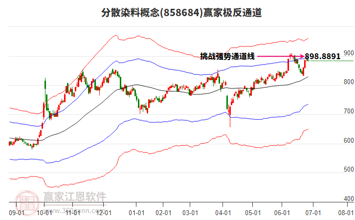 858684分散染料贏家極反通道工具