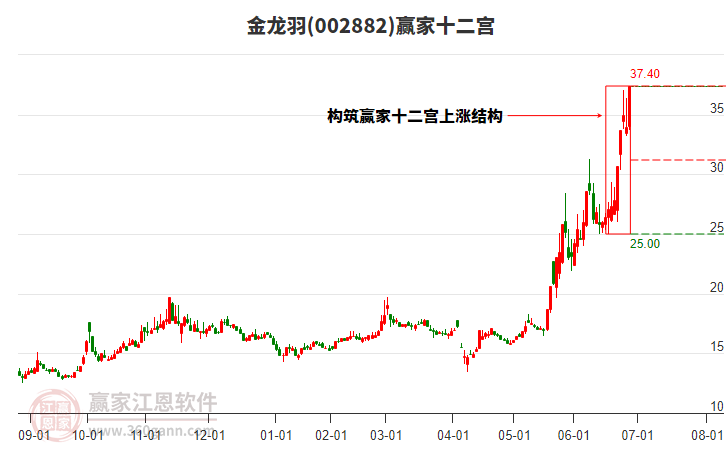 002882金龍羽贏家十二宮工具