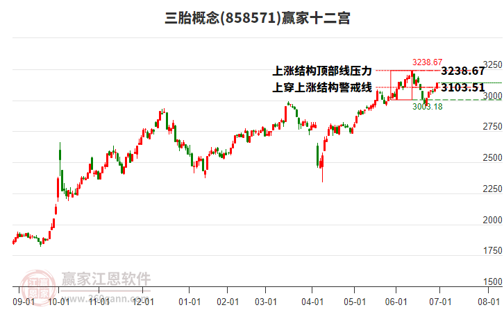 858571三胎贏家十二宮工具