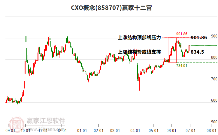 858707CXO贏家十二宮工具