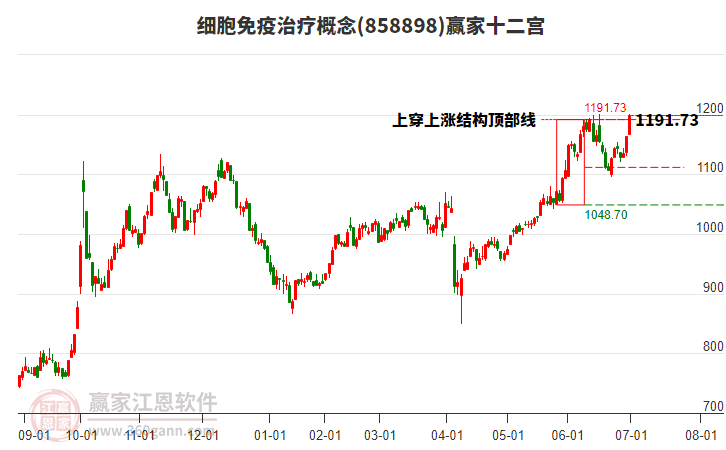 858898細胞免疫治療贏家十二宮工具