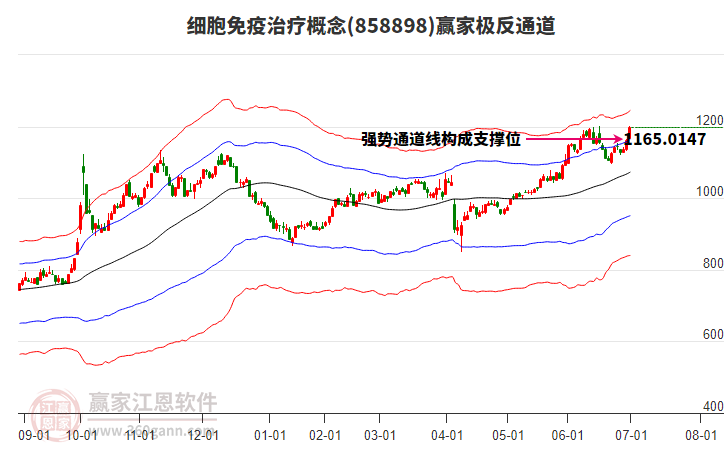858898細(xì)胞免疫治療贏家極反通道工具