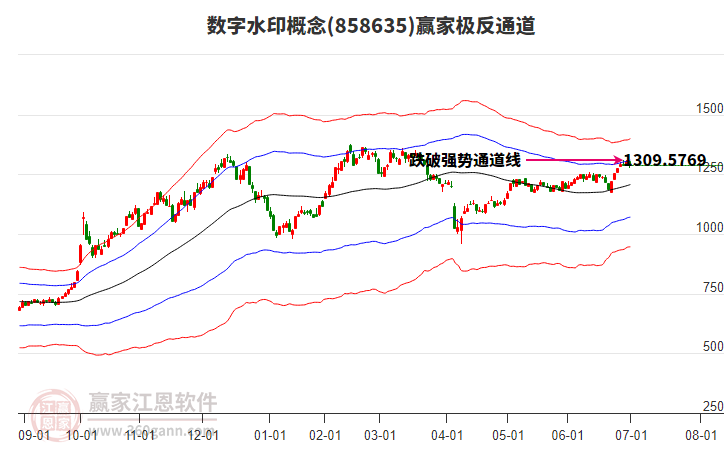 858635數(shù)字水印贏家極反通道工具