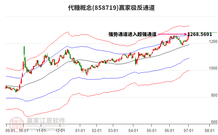 858719代糖贏家極反通道工具