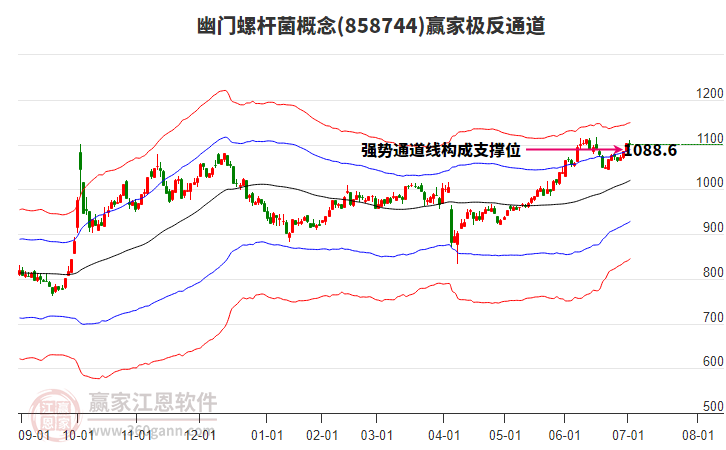 858744幽門螺桿菌贏家極反通道工具