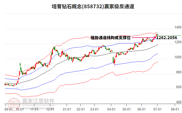 858732培育鉆石贏家極反通道工具