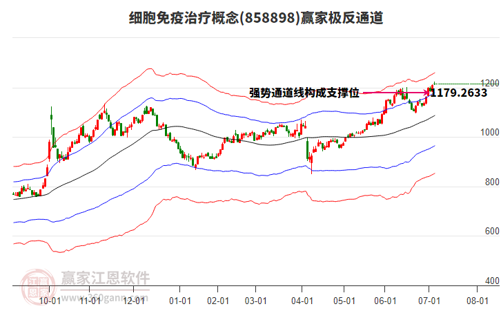 858898細(xì)胞免疫治療贏家極反通道工具