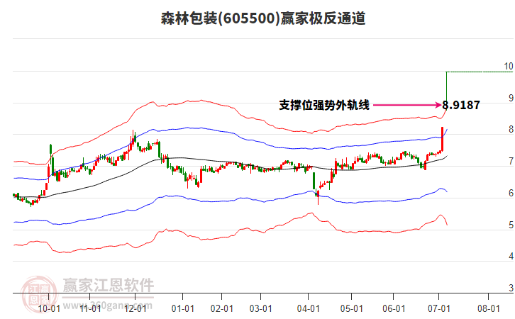 605500森林包裝贏家極反通道工具