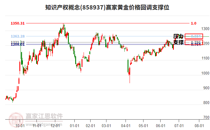 知識產(chǎn)權(quán)
