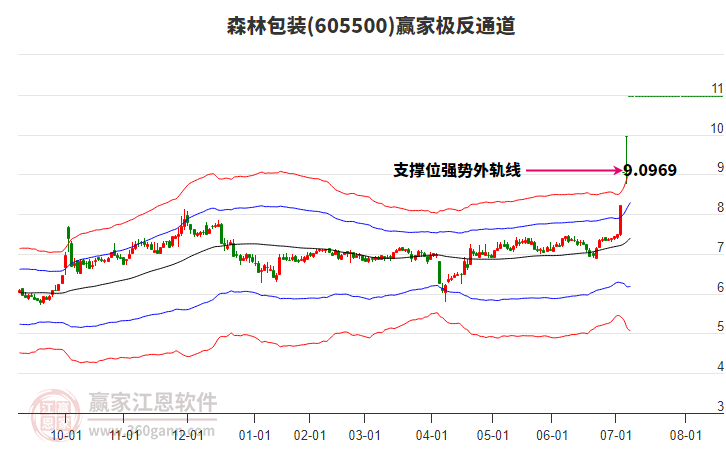 605500森林包裝贏家極反通道工具