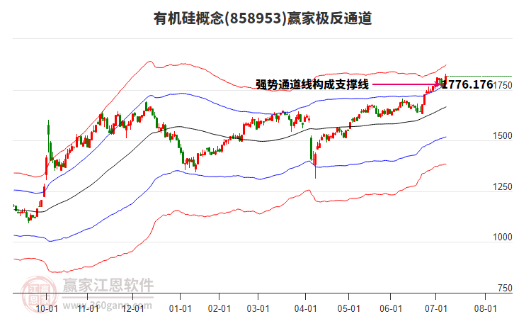 858953有機(jī)硅贏家極反通道工具