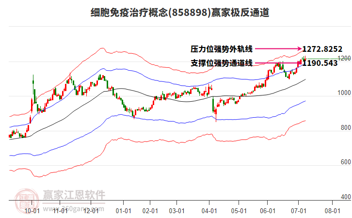 858898細胞免疫治療贏家極反通道工具 858898細胞免疫治療贏家極反通道工具