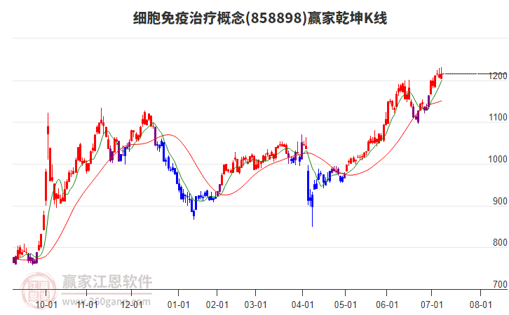 858898細胞免疫治療贏家乾坤K線工具 858898細胞免疫治療贏家乾坤K線工具