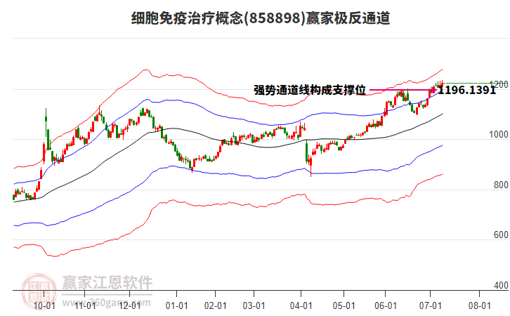 858898細(xì)胞免疫治療贏家極反通道工具 858898細(xì)胞免疫治療贏家極反通道工具
