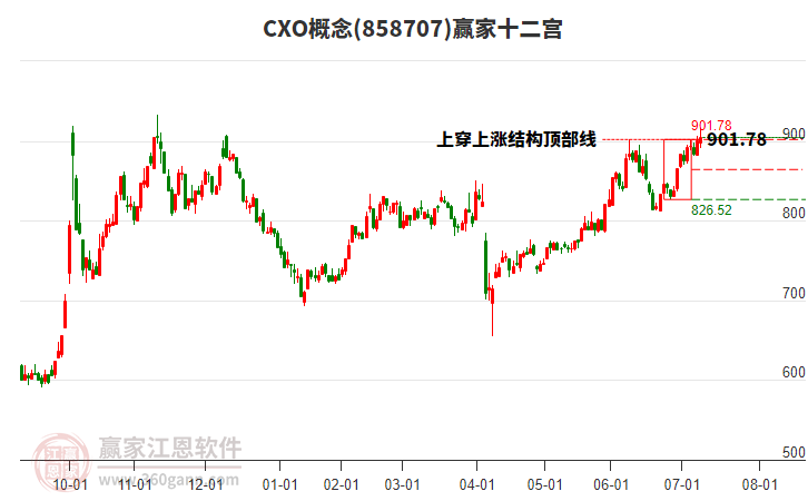 858707CXO贏家十二宮工具 858707CXO贏家十二宮工具