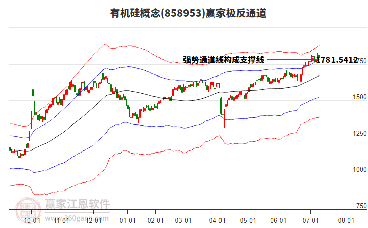 858953有機(jī)硅贏家極反通道工具