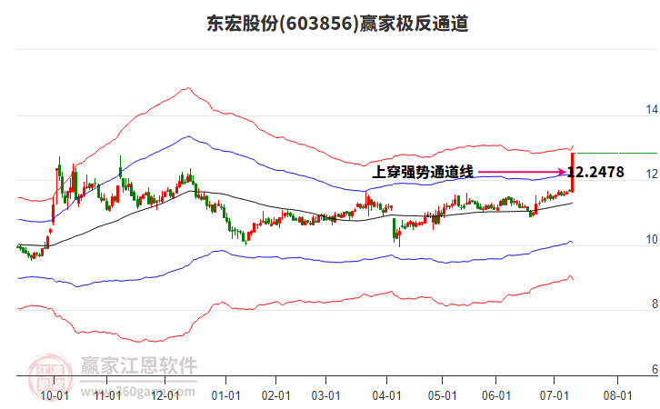 東宏股份 東宏股份