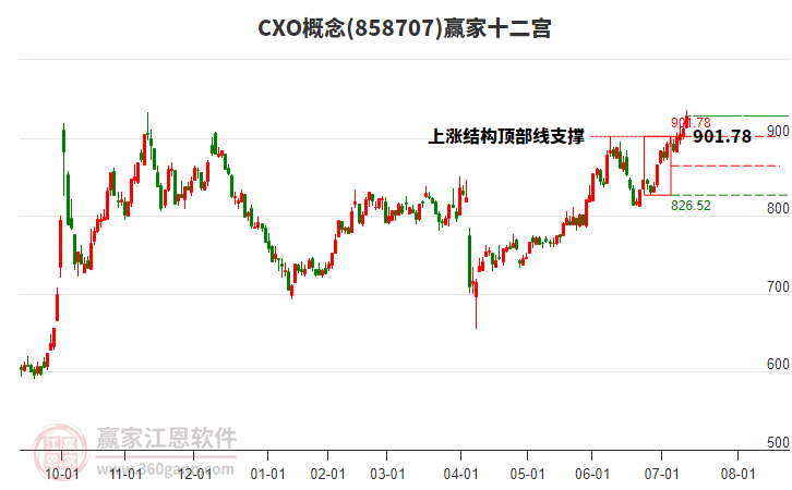 858707CXO贏家十二宮工具 858707CXO贏家十二宮工具