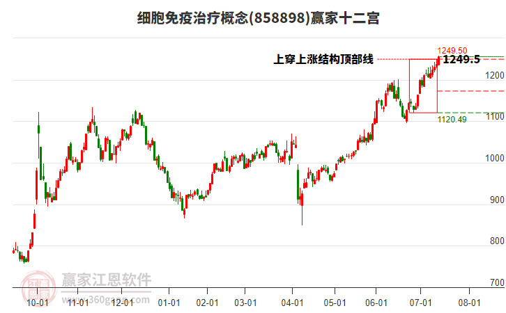 858898細(xì)胞免疫治療贏家十二宮工具