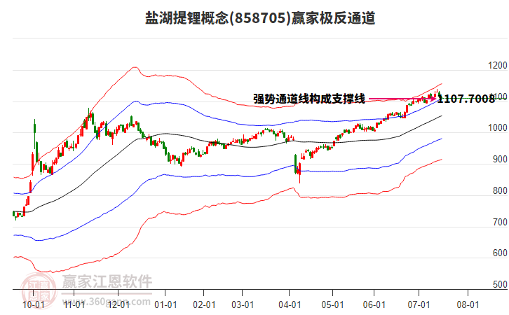 858705鹽湖提鋰贏家極反通道工具 858705鹽湖提鋰贏家極反通道工具