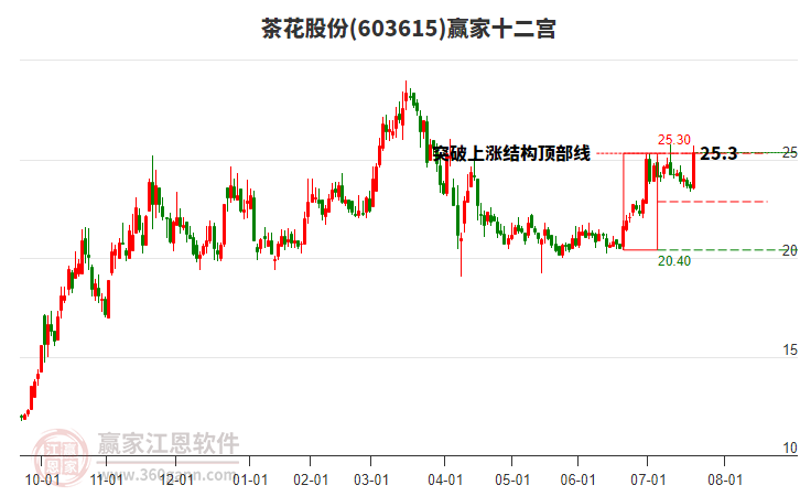 603615茶花股份贏家十二宮工具 603615茶花股份贏家十二宮工具