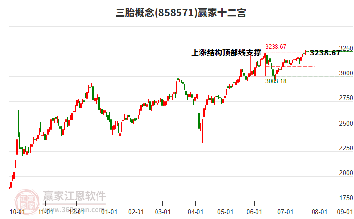 858571三胎贏家十二宮工具 858571三胎贏家十二宮工具