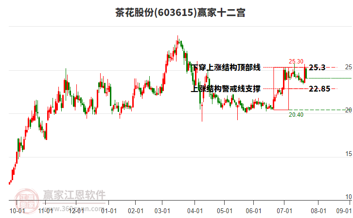 603615茶花股份贏家十二宮工具 603615茶花股份贏家十二宮工具