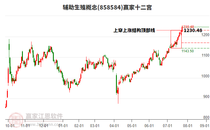 858584輔助生殖贏家十二宮工具 858584輔助生殖贏家十二宮工具