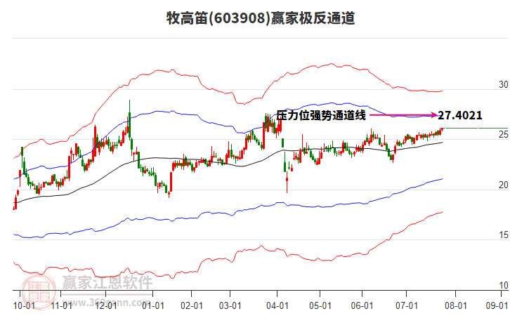 603908牧高笛贏家極反通道工具 603908牧高笛贏家極反通道工具