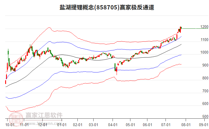 858705鹽湖提鋰贏家極反通道工具