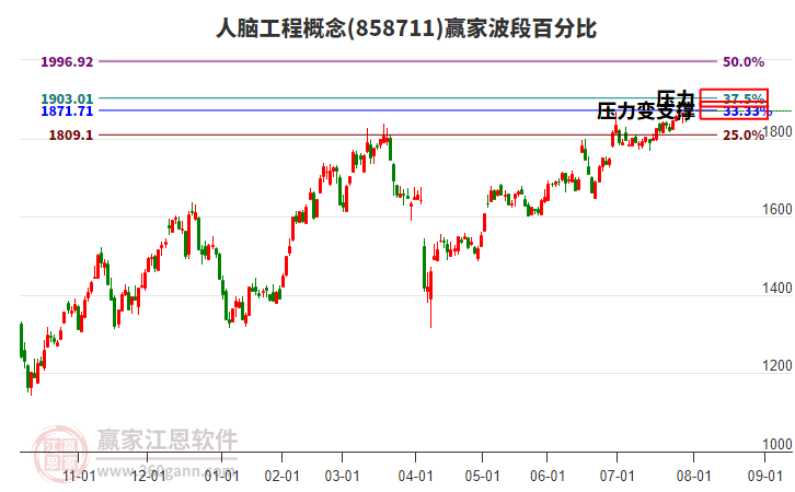 人腦工程概念波段百分比工具