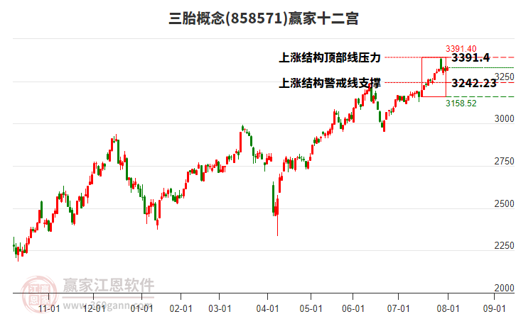858571三胎贏家十二宮工具