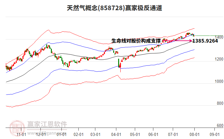 858728天然氣贏家極反通道工具