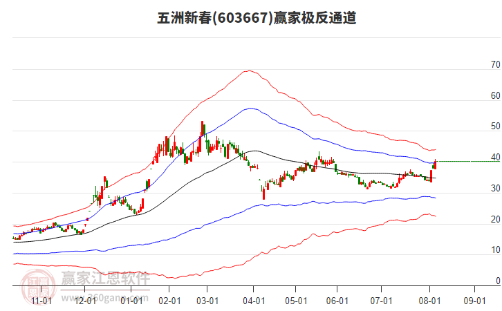 603667五洲新春贏家極反通道工具 603667五洲新春贏家極反通道工具