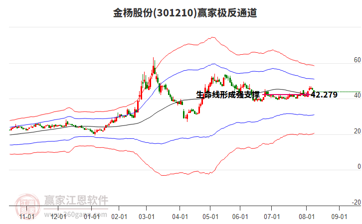 301210金楊股份贏家極反通道工具
