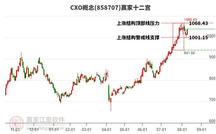 858707CXO贏家十二宮工具 858707CXO贏家十二宮工具