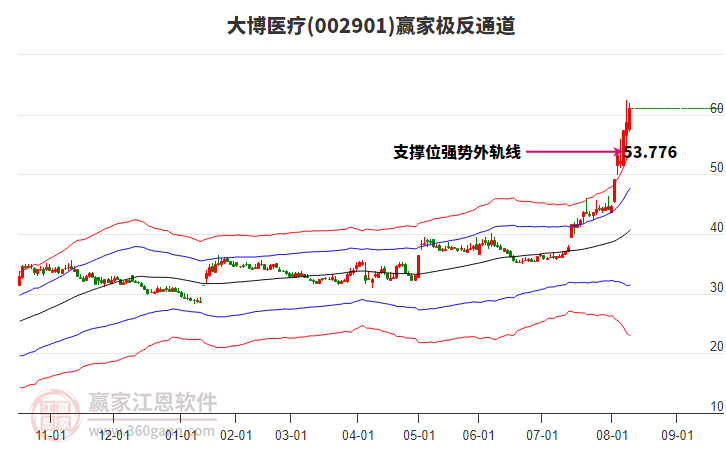 002901大博醫(yī)療贏家極反通道工具