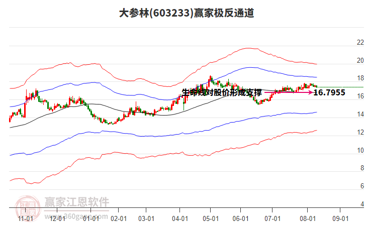 603233大參林贏家極反通道工具 603233大參林贏家極反通道工具
