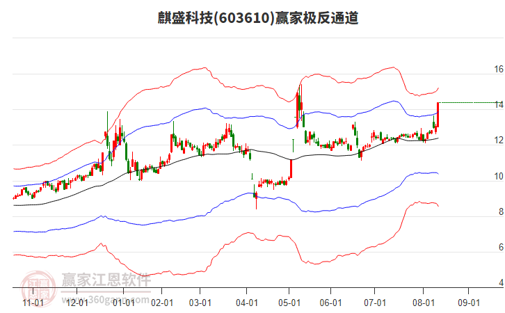 603610麒盛科技贏家極反通道工具