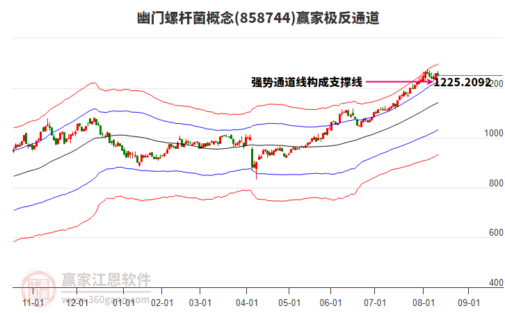 858744幽門螺桿菌贏家極反通道工具