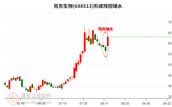 688513苑東生物形成殘陽鋪水形態(tài)